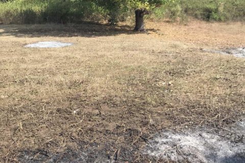 500m2 Land in Indonesia No. 13558 12