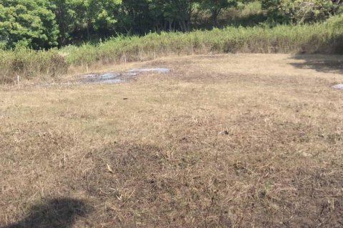 500m2 Land in Indonesia No. 13558 11