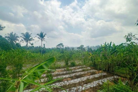 3420m2 Land in Ubud, Gianyar, Indonesia No. 13560