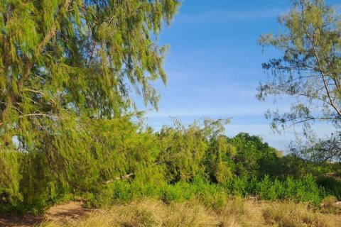 500m2 Land in Indonesia No. 13559 7