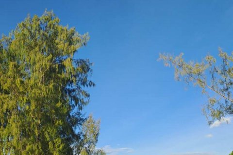 500m2 Land in Indonesia No. 13559 11