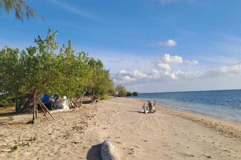 500m2 Land in Indonesia No. 13559 2