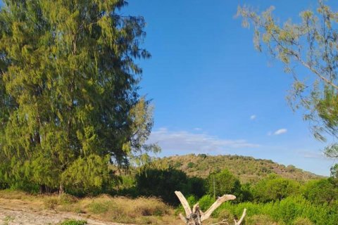 500m2 Land in Indonesia No. 13559 8
