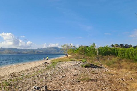 500m2 Land in Indonesia No. 13559 4