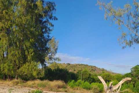 500m2 Land in Indonesia No. 13559 5