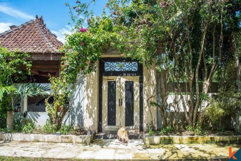 6 bedrooms Villa in Jimbaran, Badung, Indonesia No. 11010 5
