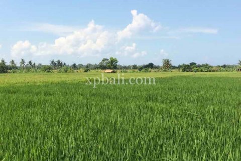 2840m2 Land in Tabanan, Indonesia No. 434 3