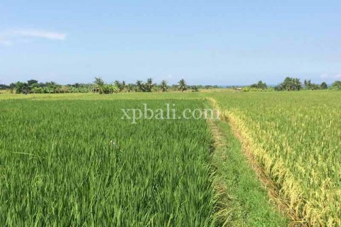 2840m2 Land in Tabanan, Indonesia No. 434 4