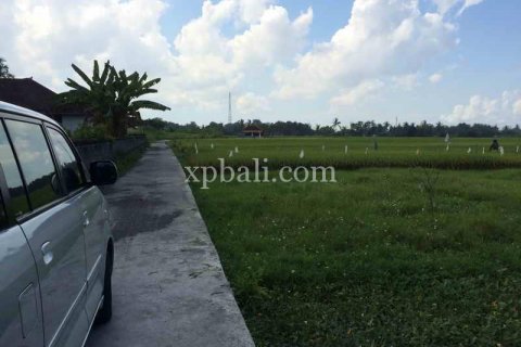 2840m2 Land in Tabanan, Indonesia No. 434 5