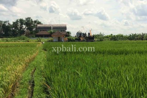 2840m2 Land in Tabanan, Indonesia No. 434