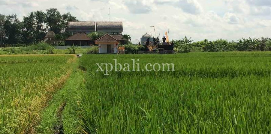 2840m2 Land in Tabanan, Indonesia No. 434