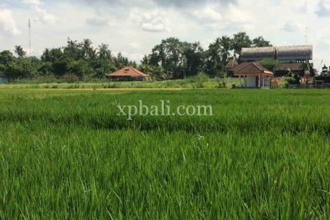 2840m2 Land in Tabanan, Indonesia No. 434 2