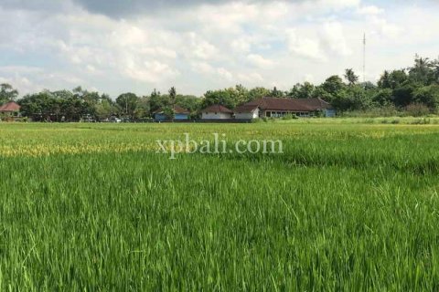 2840m2 Land in Tabanan, Indonesia No. 434 6