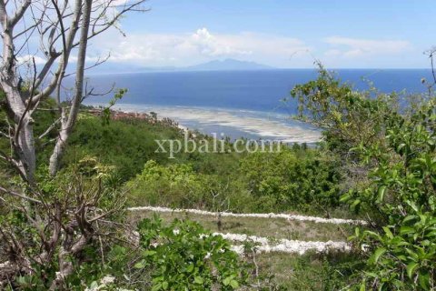 Земельный участок 8500м2 в Nusa Penida, Клунгкунг, Индонезия № 437 4