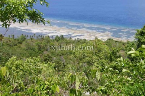 Земельный участок 8500м2 в Nusa Penida, Клунгкунг, Индонезия № 437 5