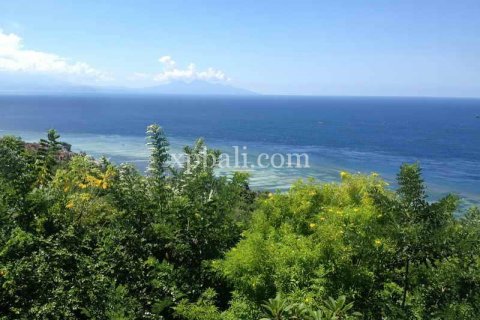 8500m2 Land in Nusa Penida, Klungkung, Indonesia No. 437