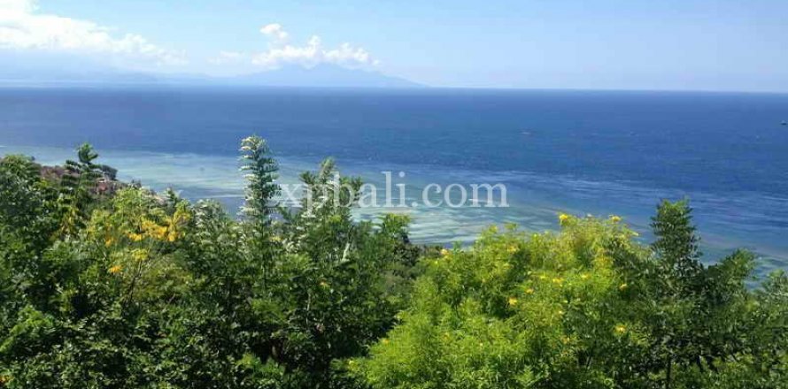 Земельный участок 8500м2 в Nusa Penida, Клунгкунг, Индонезия № 437