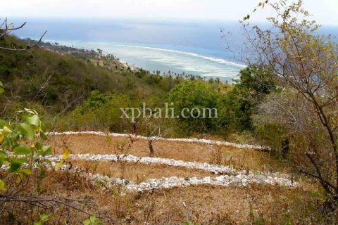 Земельный участок 8500м2 в Nusa Penida, Клунгкунг, Индонезия № 437 3