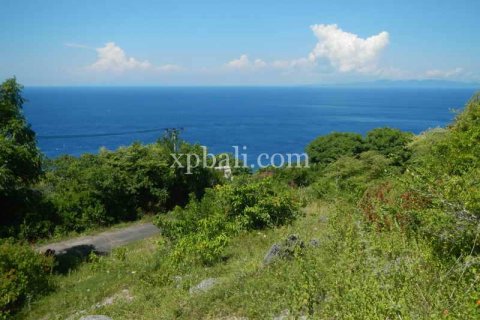 Земельный участок 8500м2 в Nusa Penida, Клунгкунг, Индонезия № 437 2
