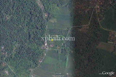 4650m2 Land in Tabanan, Indonesia No. 439 7