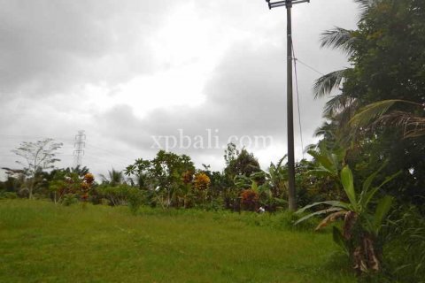 4650m2 Land in Tabanan, Indonesia No. 439 4