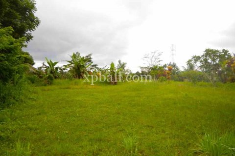 4650m2 Land in Tabanan, Indonesia No. 439 5