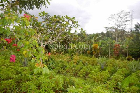 4650m2 Land in Tabanan, Indonesia No. 439 3