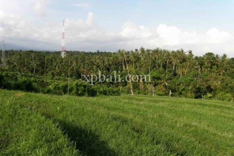 4650m2 Land in Tabanan, Indonesia No. 439 2