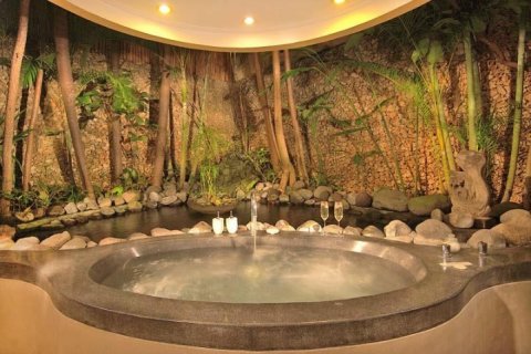 Вилла с 1 спальней в Seminyak, Бадунг, Индонезия № 1220 5