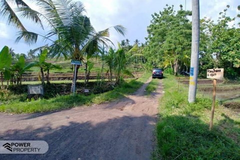 6280m2 Land in Negara, Jembrana, Indonesia No. 8142