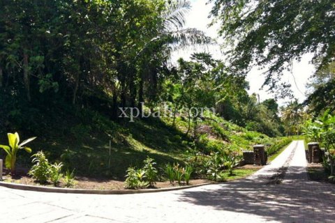 62440m2 Land in Negara, Jembrana, Indonesia No. 572 7