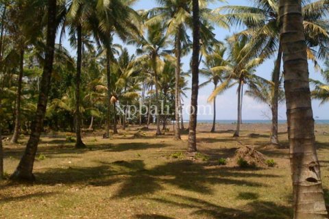 62440m2 Land in Negara, Jembrana, Indonesia No. 572 5
