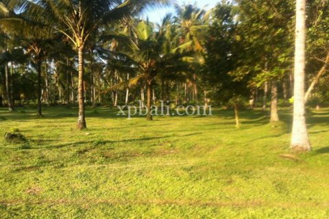 62440m2 Land in Negara, Jembrana, Indonesia No. 572 6