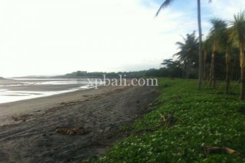 62440m2 Land in Negara, Jembrana, Indonesia No. 572 8