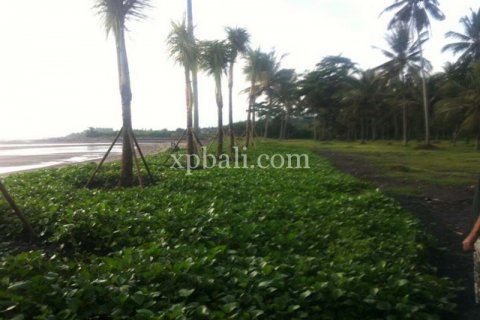 62440m2 Land in Negara, Jembrana, Indonesia No. 572 3
