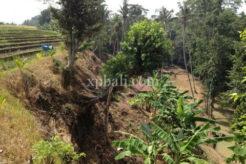 7715m2 Land in Tabanan, Indonesia No. 574 4