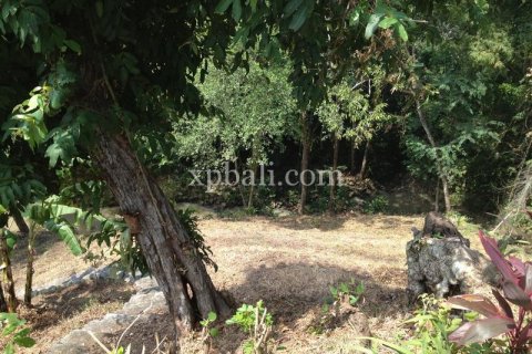 7715m2 Land in Tabanan, Indonesia No. 574 6