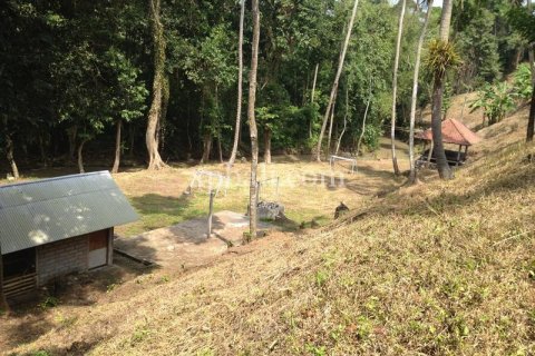 7715m2 Land in Tabanan, Indonesia No. 574 7