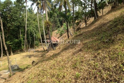 7715m2 Land in Tabanan, Indonesia No. 574