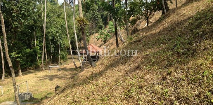 7715m2 Land in Tabanan, Indonesia No. 574