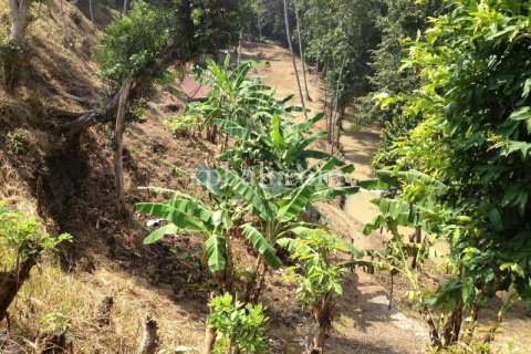 7715m2 Land in Tabanan, Indonesia No. 574 3