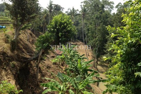 7715m2 Land in Tabanan, Indonesia No. 574 5