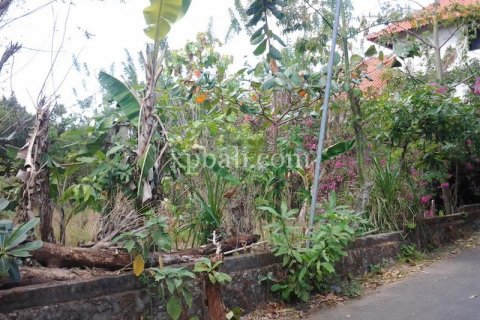450m2 Land in Jimbaran, Badung, Indonesia No. 570 2