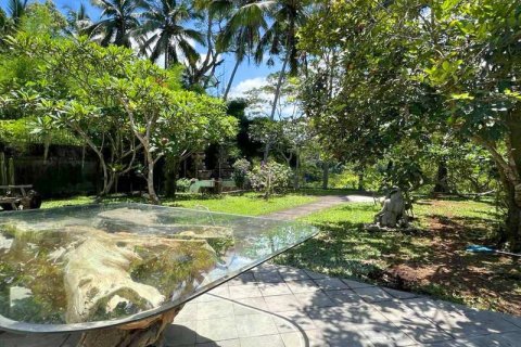 3 bedrooms Villa in Abiansemal, Badung, Indonesia No. 7669 2