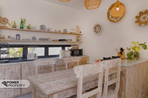 Вилла с 2 спальнями в Южная Кута, Бадунг, Индонезия № 8663 29