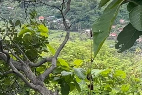 17600m2 Land in Lovina, Anturan, Buleleng, Indonesia No. 8699 4