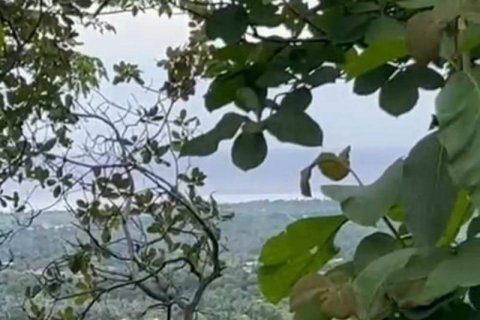 17600m2 Land in Lovina, Anturan, Buleleng, Indonesia No. 8699 2