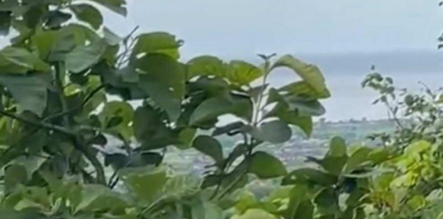 17600m2 Land in Lovina, Anturan, Buleleng, Indonesia No. 8699