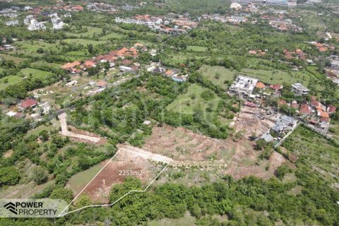 2253m2 Land in South Kuta, Badung, Indonesia No. 8701 2