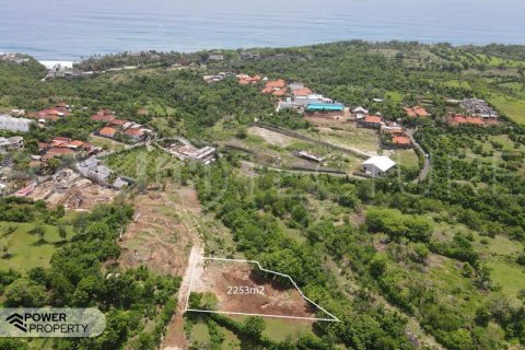 2253m2 Land in South Kuta, Badung, Indonesia No. 8701